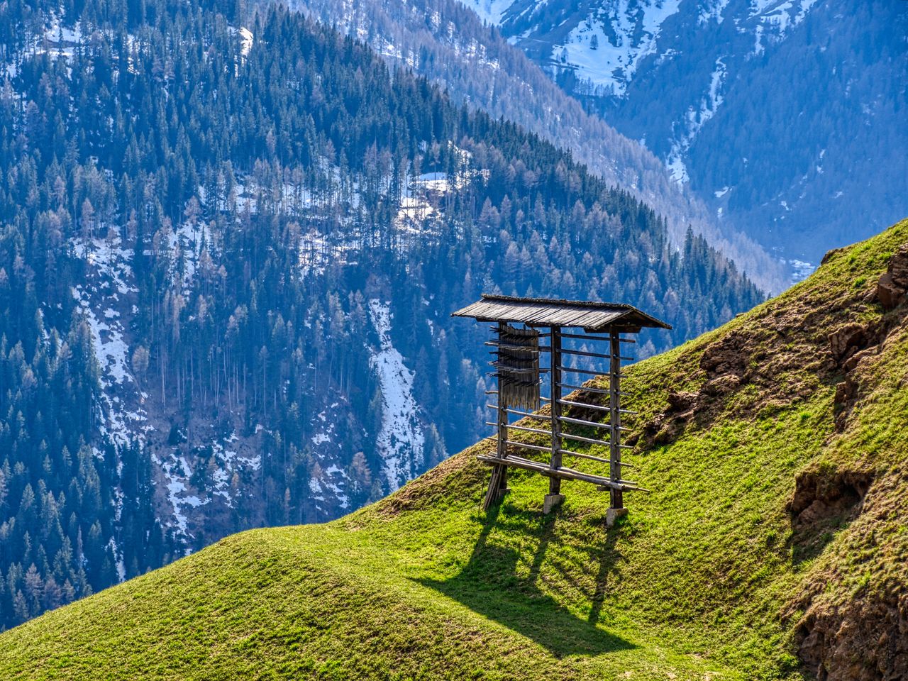 Alpen-Sommer in purer Natur