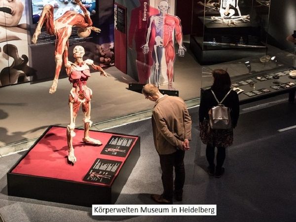 Kurz-mal Heidelberg mit Körperwelten Museum – 3 Tage in Bad Schönborn Frühstück