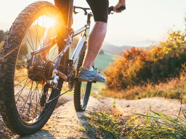 Auszeit in der Natur um Backnang – 4 Tage, Baden-Württemberg inkl. Frühstück