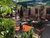 Wellness-Schnuppertage in der Dübener Heide inkl. Dinnerbuffet & Massage