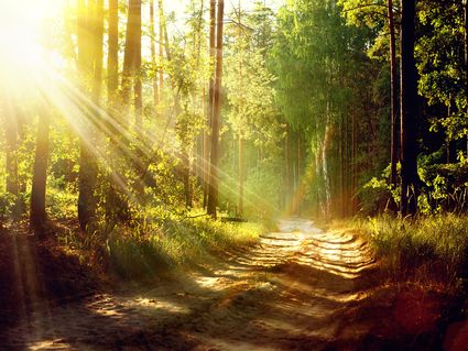 Goldene Auszeit