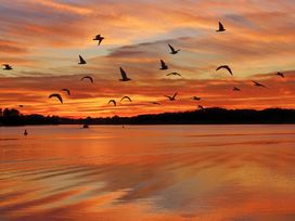 Mecklenburgische Seenplatte im Schlosshotel - 9 Tage Urlaub mit Frühstück