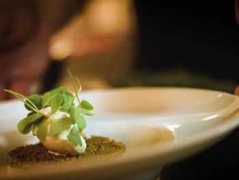 2 Tage Kurzurlaub mit Frühstück im Seminaris Avendi Hotel Potsdam