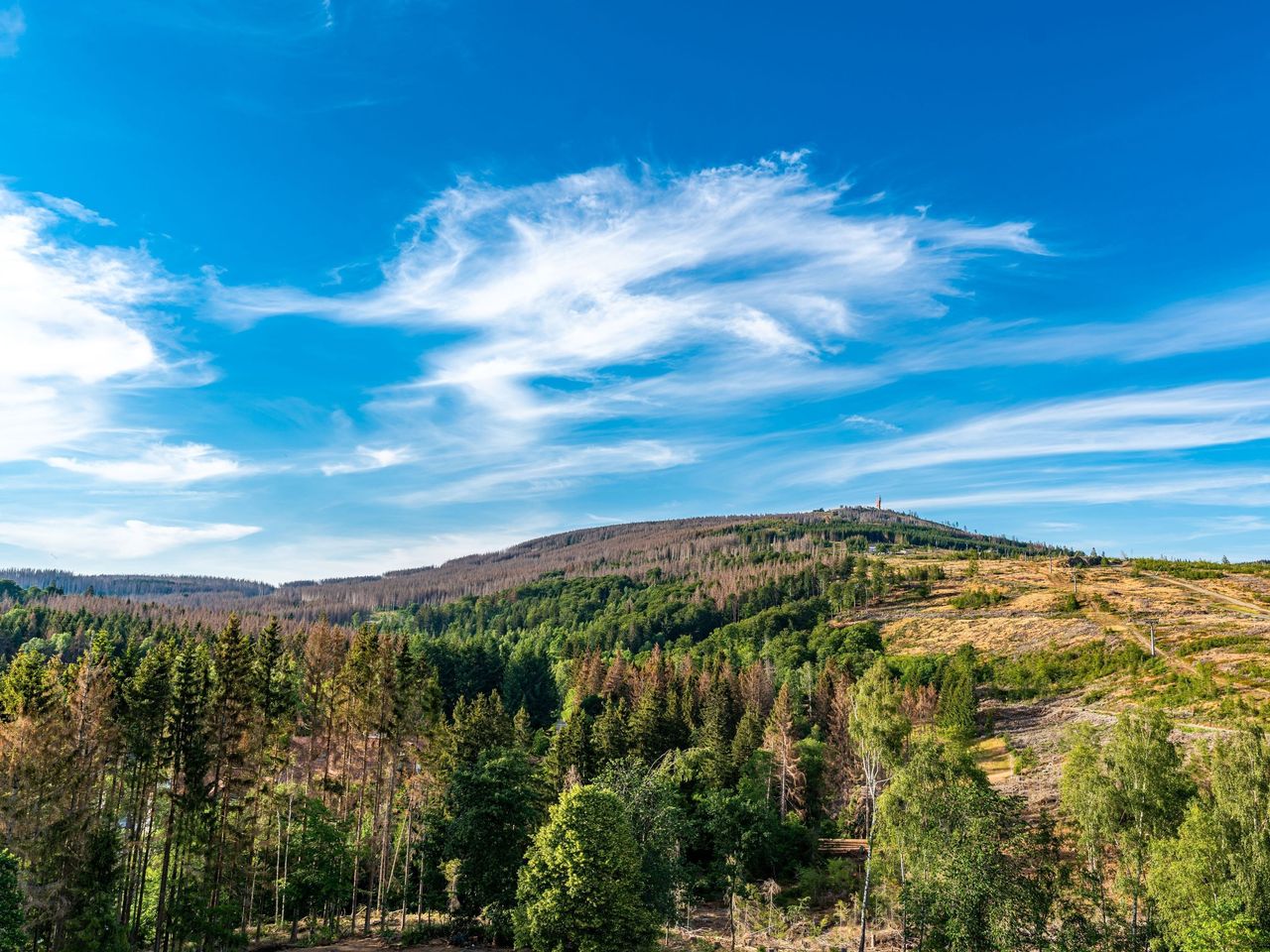 2 Tage Herbsturlaub am Wurmberg im Harz in Braunlage