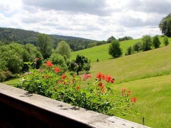 6 Tage Wanderspaß in der Region Odenwald/Bergstraße