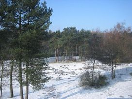 Ruhe und Natur - 2 Tage im Wald von Enschede