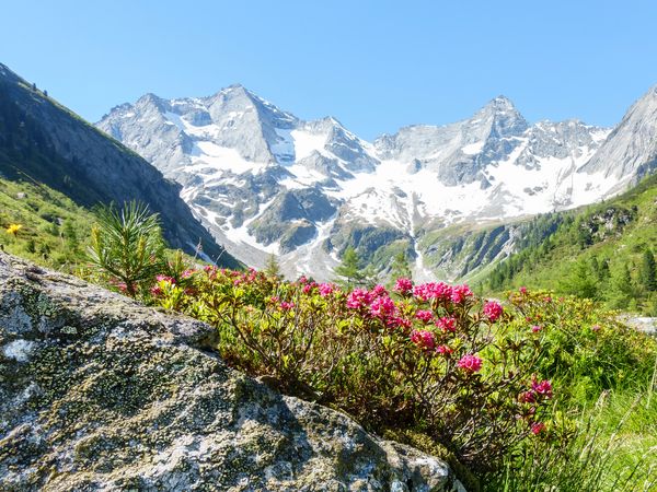 3 Tage Wochenstart in Gaschurn, Vorarlberg inkl. Frühstück