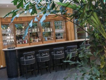 Sommer Special mit Abendessen