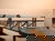 Urlaub mit Hund am Naturparadies Bodensee  | 3 Tage
