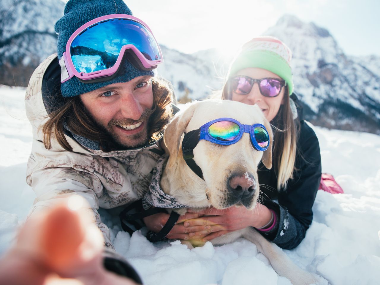 Winterurlaub mit Hund - Ihr Hund ist kostenfrei