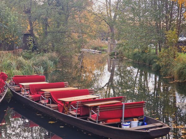 8 Tage – Spreewald Erleben in Peitz, Brandenburg inkl. Halbpension