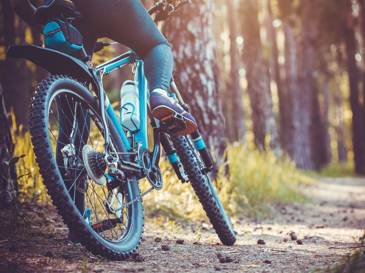 Aktiv & sportlich im Thüringer Wald