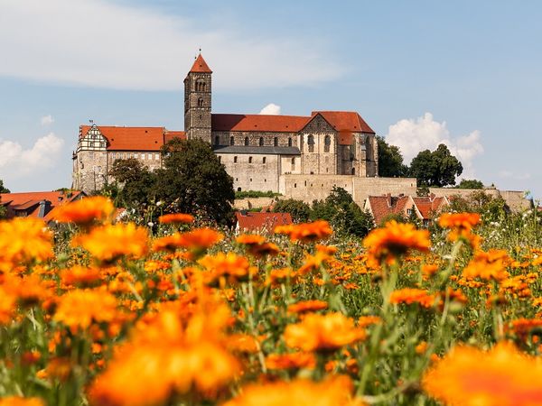 Nur Du & Ich im Harz - für 3 Nächte in Quedlinburg Halbpension