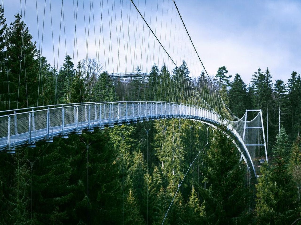 Wanderspaß im Nordschwarzwald: 8 Tage aktive Auszeit