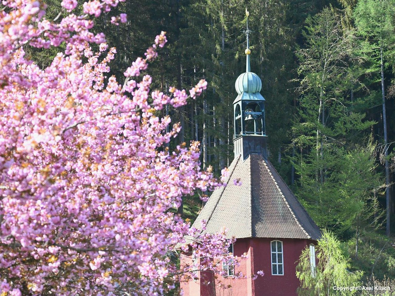 Gartenschau 2025 Freudenstadt inkl. Eintritt - 3 Tage