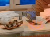 4 Tage auf Rügen inkl. Abendessen