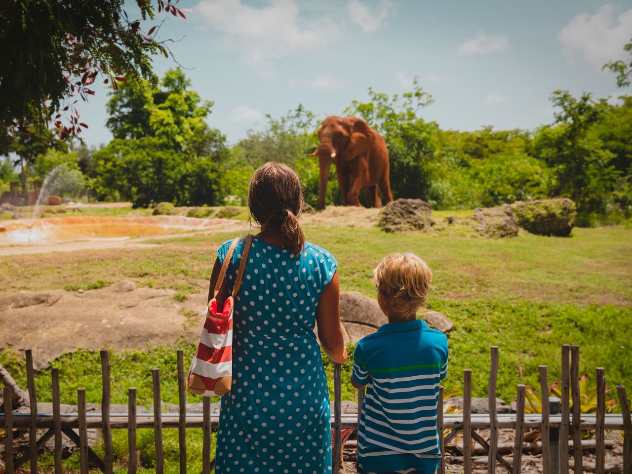 Urlaub in Wuppertal mit Besuch des Grünen Zoos mit HP