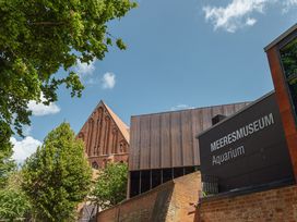 Meeresmuseum Stralsund mit Ticket und Hotel