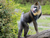 Serengeti-Park Hodenhagen mit Ticket und Hotel