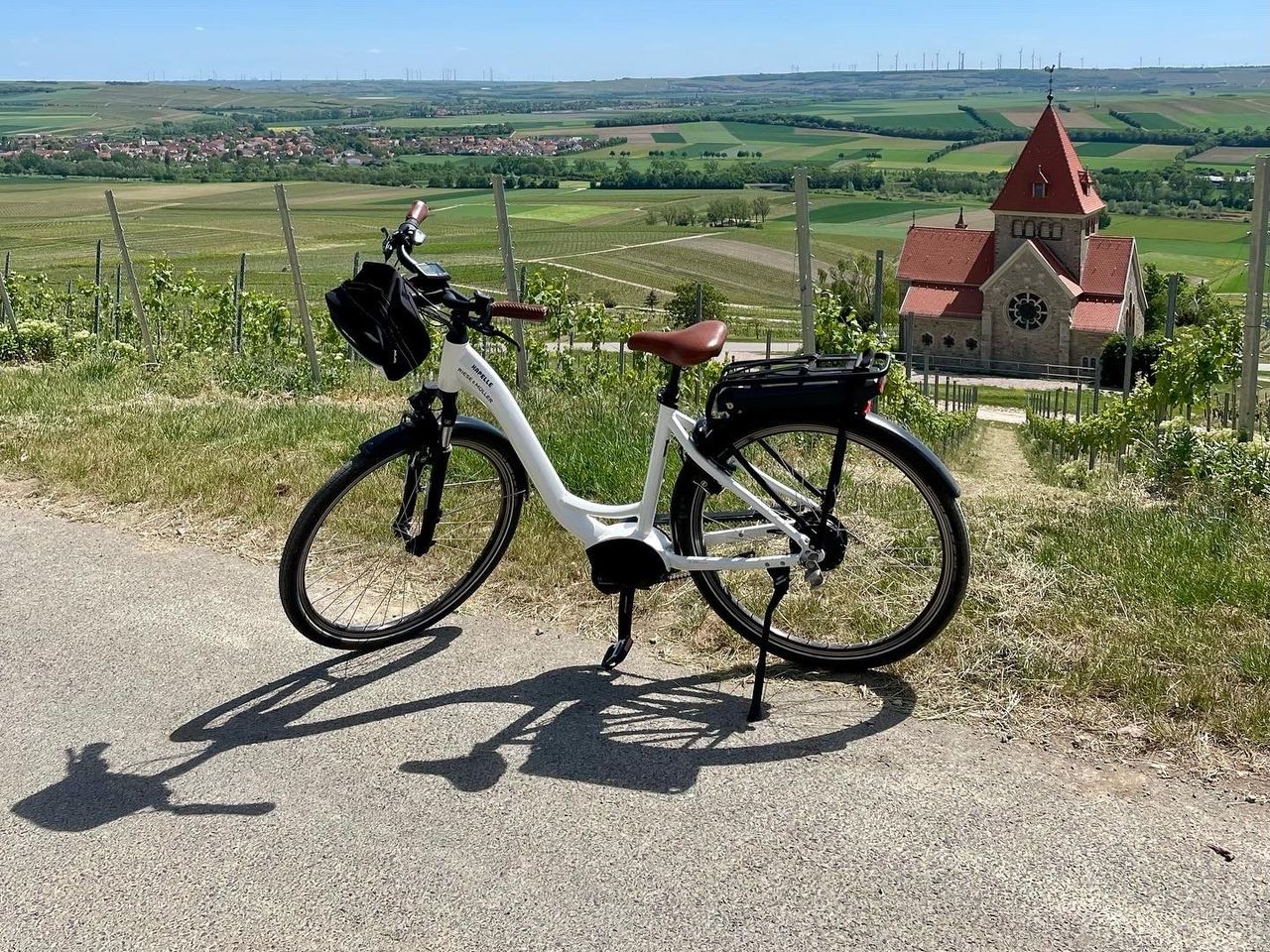 Winterliche Träumerei im Weinberg