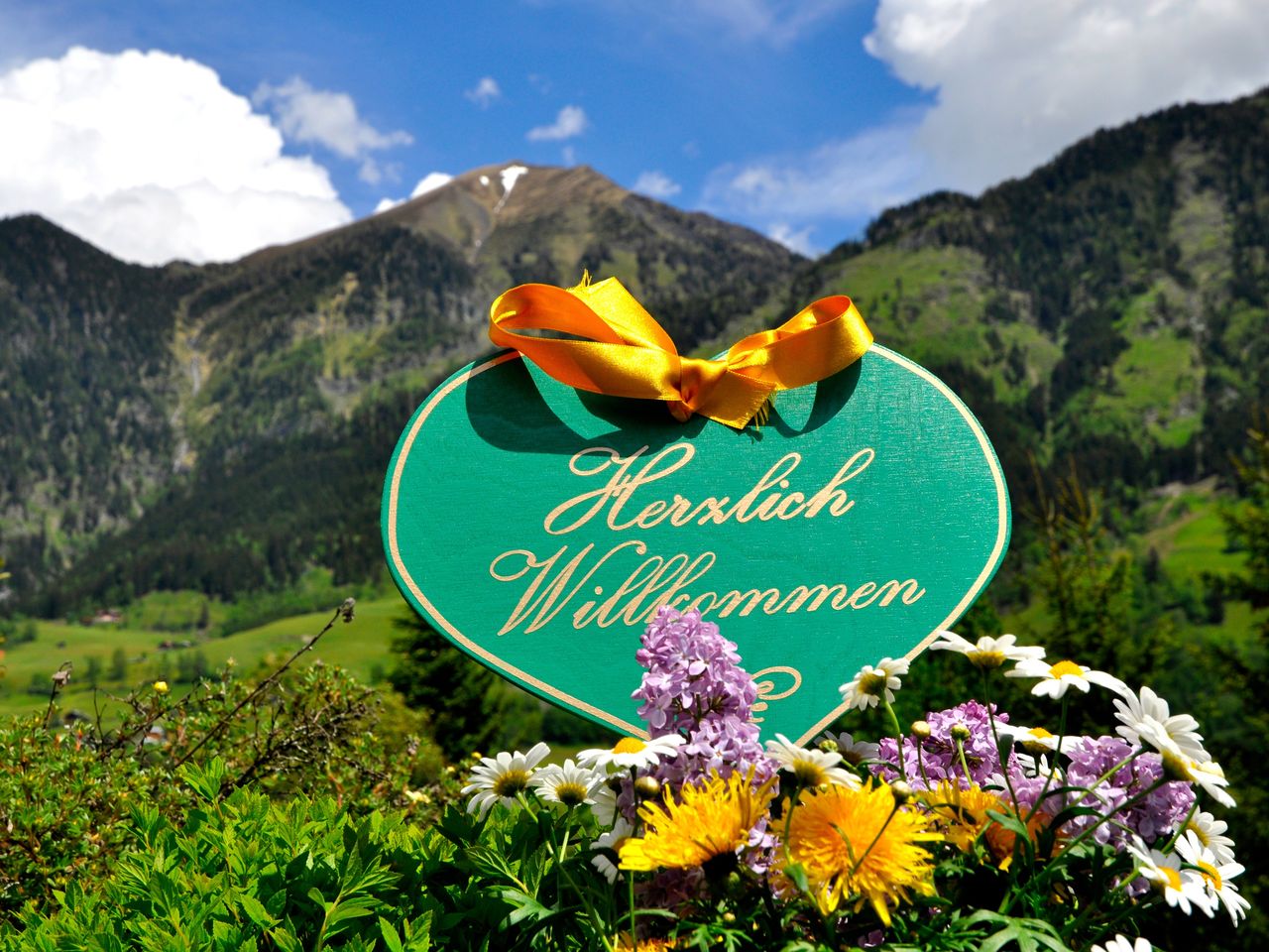 ... einfach zum Stern - 3 Tage mit Gourmetpension