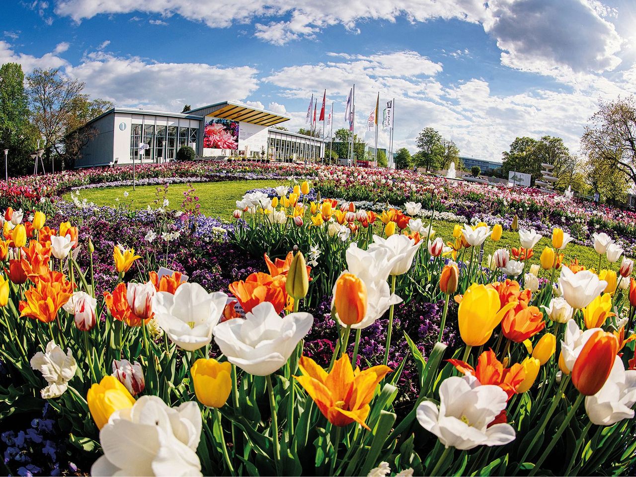 Blütenmeer & Farbenpracht - Der Egapark Erfurt | 3 Tg