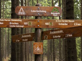 Harz'lich Willkommen - 4 Tage Auszeit im Habichtstein