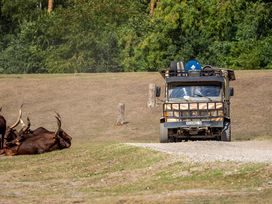 Serengeti Park Hodenhagen mit Hotel
