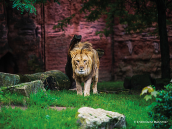 Zoo Hannover mit Übernachtung