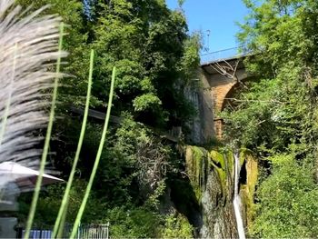 2 Tage Romantik pur zwischen Schwarzwald und Bodensee