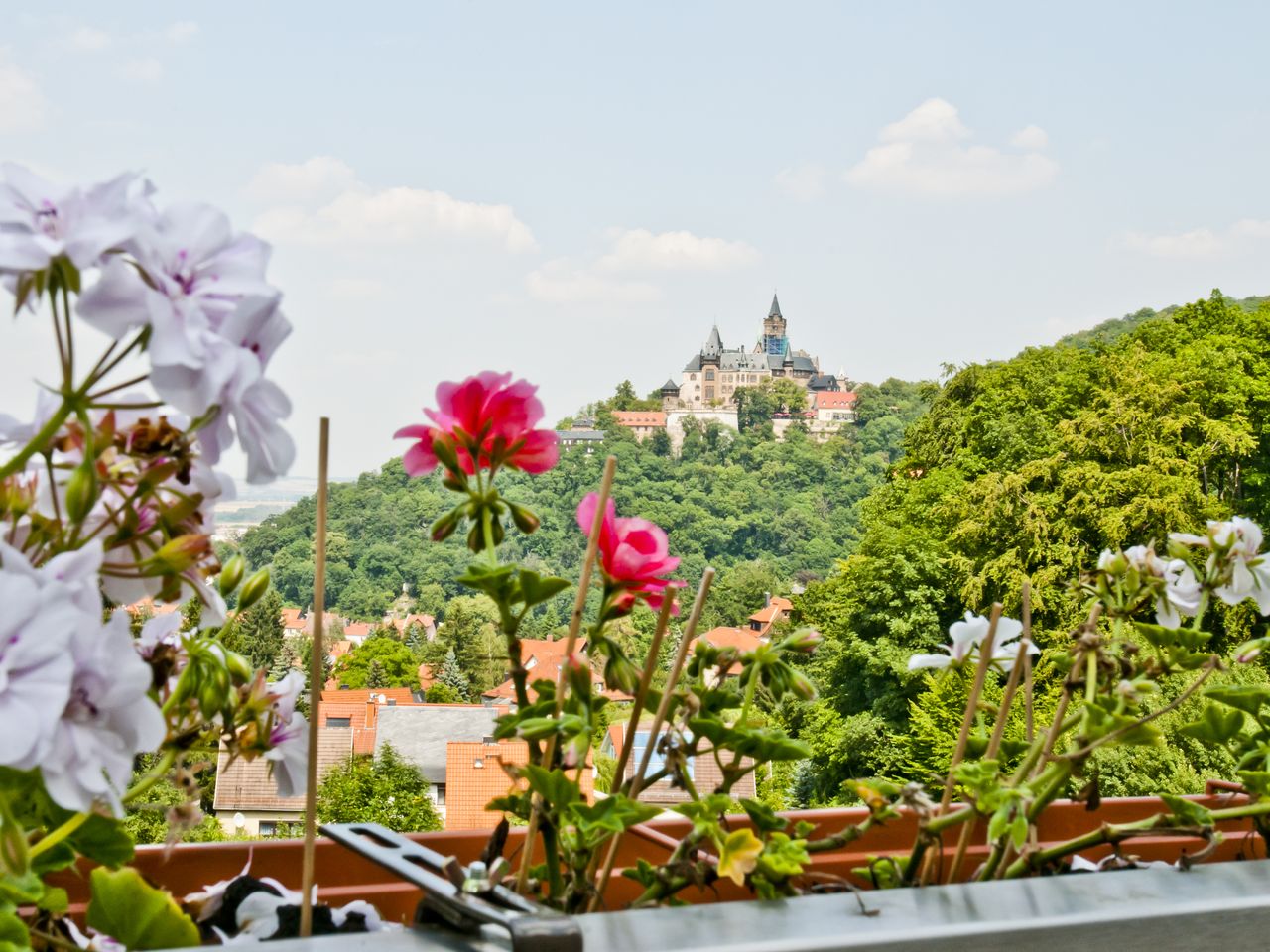 Kunterbunt in Wernigerode inkl. Brockenbahn & Schloss