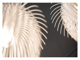 5 Tage im Hotel Roomz Vienna Prater 