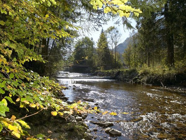 7 Tage Chiemgau inkl. Eintritt Rupertustherme, täglich Abendessen in Reit im Winkl, Bayern inkl. Halbpension