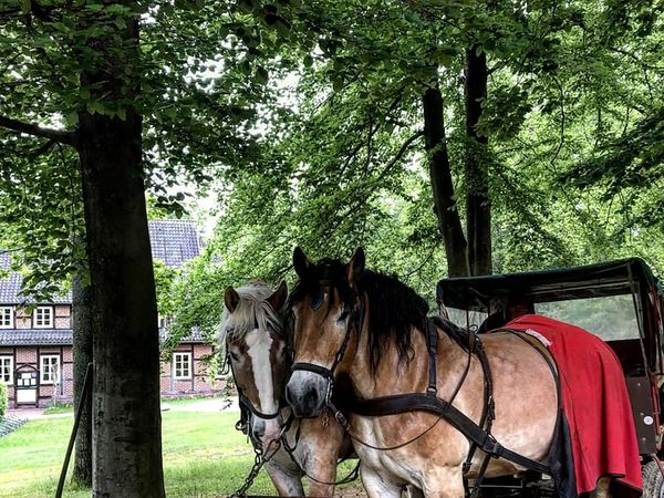 Zeit zu Zweit in Bispingen Halbpension