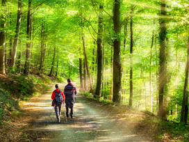 Wanderwoche im Odenwald - 5 Nächte