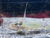 OZEANEUM Stralsund mit Ticket und Hotel