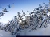 5 Tage Last-Minute Winterkurztrip im Thüringer Wald