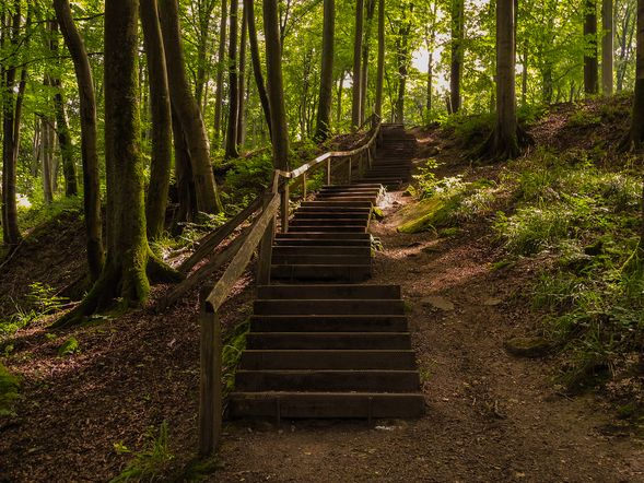 4 Tage Wanderurlaub mit Abenteuer am Westerwald-Steig