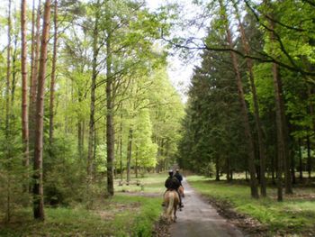 Zu kurz aber schön! in der Schorfheide