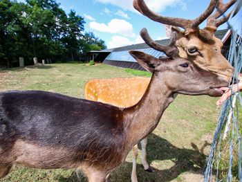 6 Tage Große Harz - Auszeit