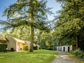 6 Tage Kurzurlaub in der Veluwe: Wald, Ruhe & Natur