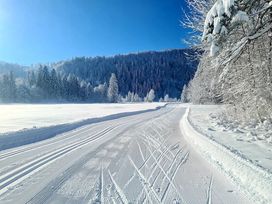 8 Tage aktive Erholung in Füssen mit Frühstück