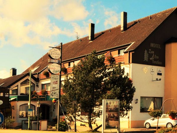 Winterzeit - Schnäppchenzeit in der Eifel in Hürtgenwald OT Vossenack, Nordrhein-Westfalen Halbpension
