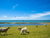 3 Tage Durchatmen & Aufleben auf der Sonneninsel Fehmarn