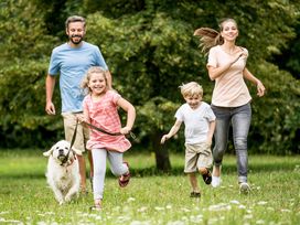 3 Tage Dresden erkunden - eine Städtereise mit Hund