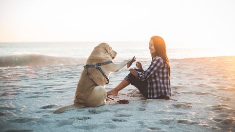 Wellness Wochenende mit Hund 