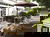2 Tage Afrika Schlemmer-Safari im Sauerland
