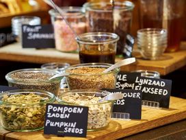 7 Tage Erholung in der vielfältigen Stadt Haarlem