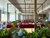 3 Tage Kurzurlaub mit Frühstück im Voya Hotel Ringsheim