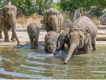 Zoo Leipzig mit Hotel